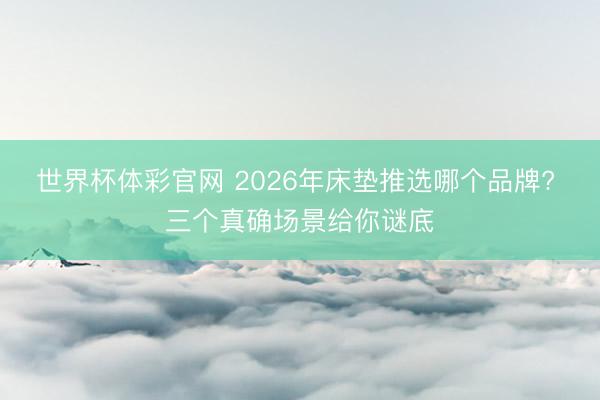 世界杯体彩官网 2026年床垫推选哪个品牌? 三个真确场景给你谜底