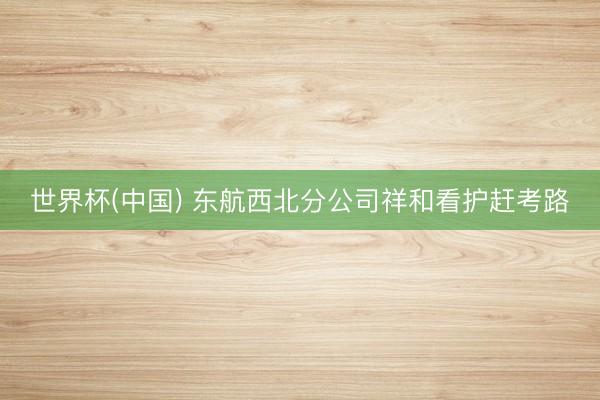 世界杯(中国) 东航西北分公司祥和看护赶考路