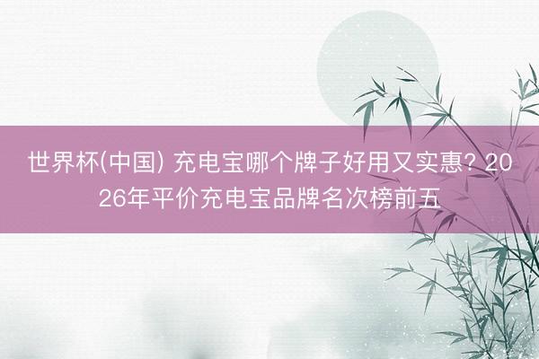 世界杯(中国) 充电宝哪个牌子好用又实惠? 2026年平价充电宝品牌名次榜前五