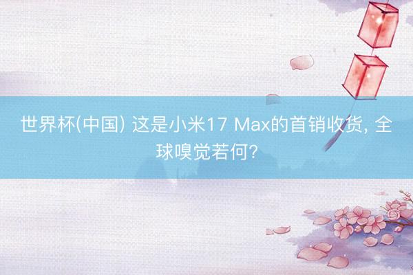 世界杯(中国) 这是小米17 Max的首销收货， 全球嗅觉若何?