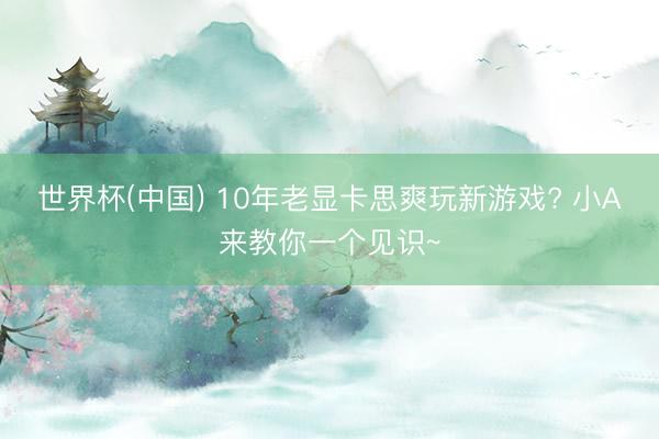 世界杯(中国) 10年老显卡思爽玩新游戏? 小A来教你一个见识~