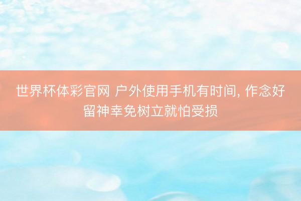 世界杯体彩官网 户外使用手机有时间， 作念好留神幸免树立就怕受损