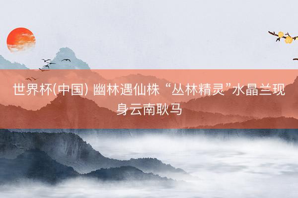 世界杯(中国) 幽林遇仙株 “丛林精灵”水晶兰现身云南耿马