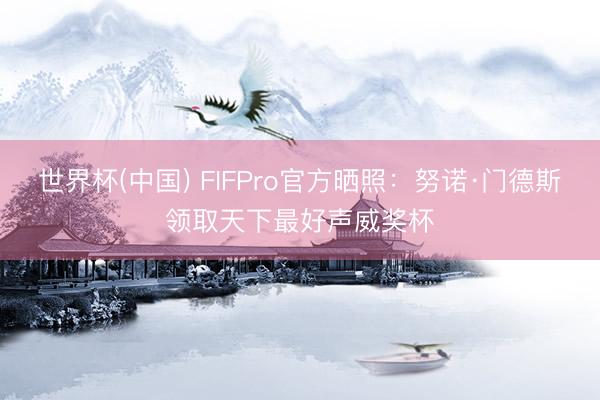 世界杯(中国) FIFPro官方晒照：努诺·门德斯领取天下最好声威奖杯