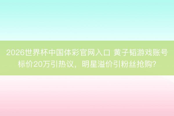 2026世界杯中国体彩官网入口 黄子韬游戏账号标价20万引热议，明星溢价引粉丝抢购？
