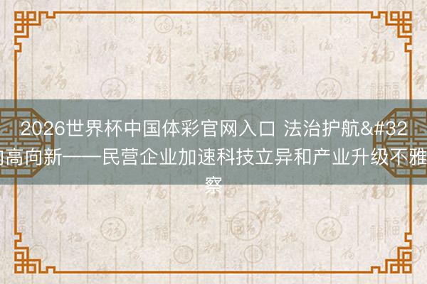 2026世界杯中国体彩官网入口 法治护航 向高向新——民营企业加速科技立异和产业升级不雅察