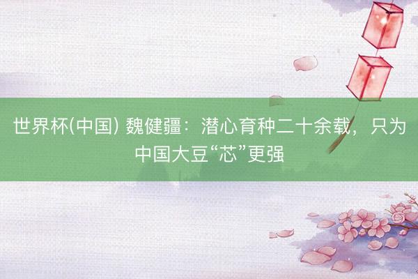 世界杯(中国) 魏健疆：潜心育种二十余载，只为中国大豆“芯”更强