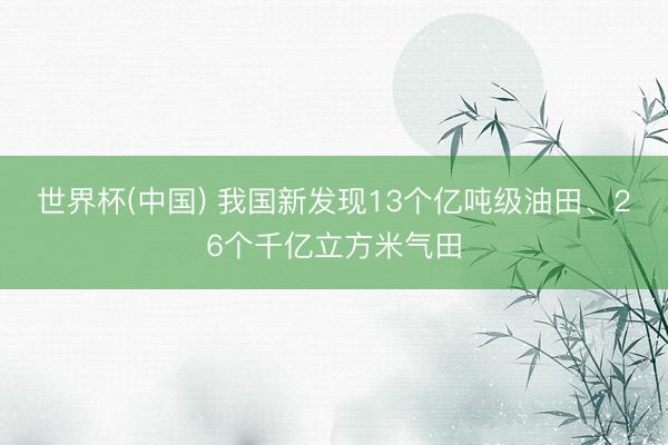 世界杯(中国) 我国新发现13个亿吨级油田、26个千亿立方米气田