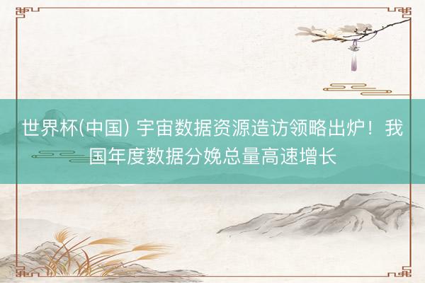世界杯(中国) 宇宙数据资源造访领略出炉!我国年度数据分娩总量高速增长