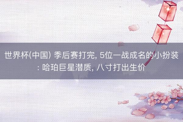 世界杯(中国) 季后赛打完， 5位一战成名的小扮装: 哈珀巨星潜质， 八寸打出生价