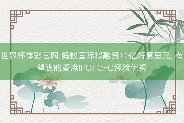世界杯体彩官网 蚂蚁国际拟融资10亿好意思元， 有望谋略香港IPO! CFO经验优秀