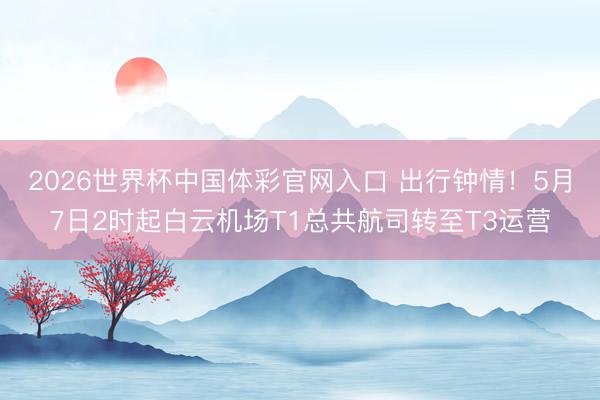 2026世界杯中国体彩官网入口 出行钟情!5月7日2时起白云机场T1总共航司转至T3运营