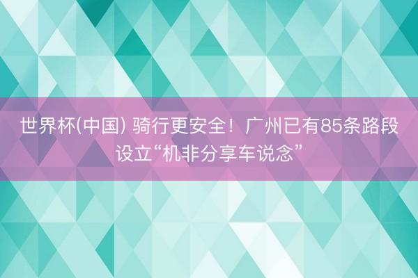 世界杯(中国) 骑行更安全！广州已有85条路段设立“机非分享车说念”